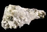 Gleaming Pyrite & Quartz Crystal Association - Peru #107424-1